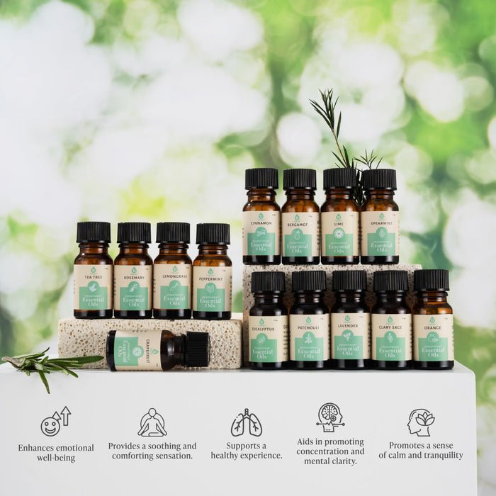 Pursonic Seasonal Scents Essential Oils Collection shophomemed