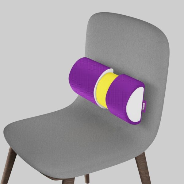 iCare Lumbar Roll