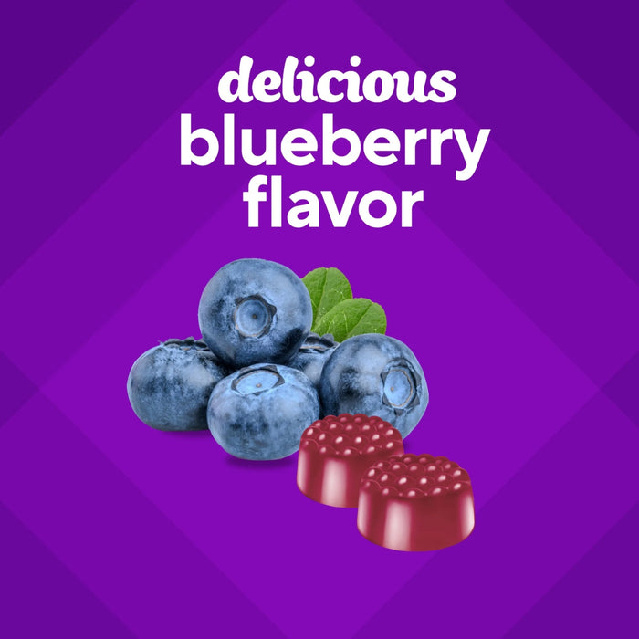 Vitafusion Extra Strength Biotin 5000Mcg Gummy Supplement Blueberry