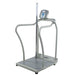 Health o Meter Digital Platform Scale with Handrails