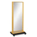 Clinton Mobile Treatment Adult Mirror