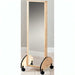 Clinton Mobile Treatment Adult Mirror