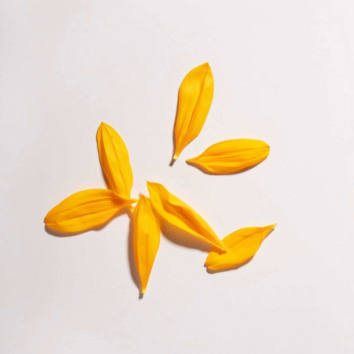 Attn Grace Daily Renew Body Oil