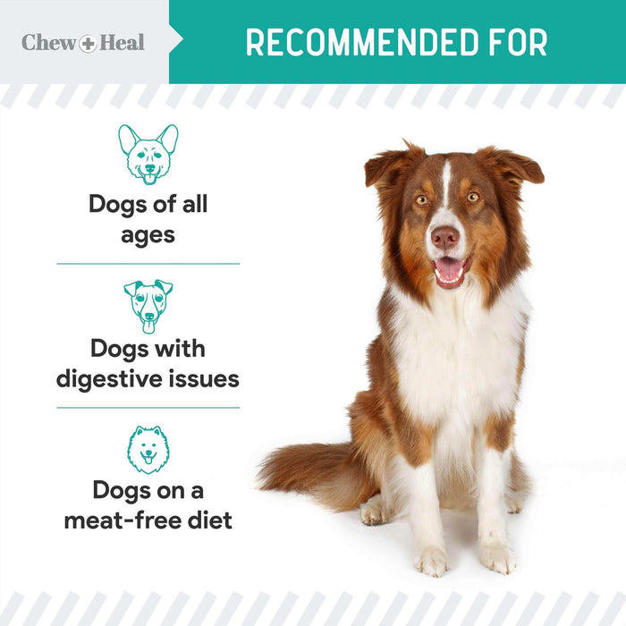 Chew + Heal Probiotic Salmon Jerky Dog Treats