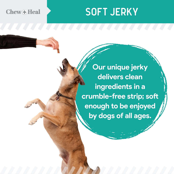 Chew + Heal Probiotic Salmon Jerky Dog Treats