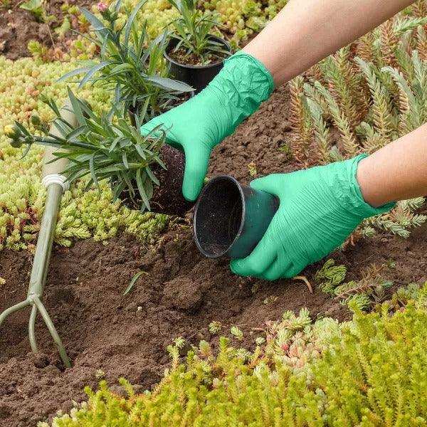 FifthPulse Biodegradable Disposable Nitrile Gloves Green – 150 Count - Elvoros