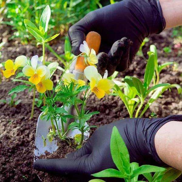 FifthPulse Biodegradable Disposable Nitrile Gloves Green – 150 Count - Elvoros