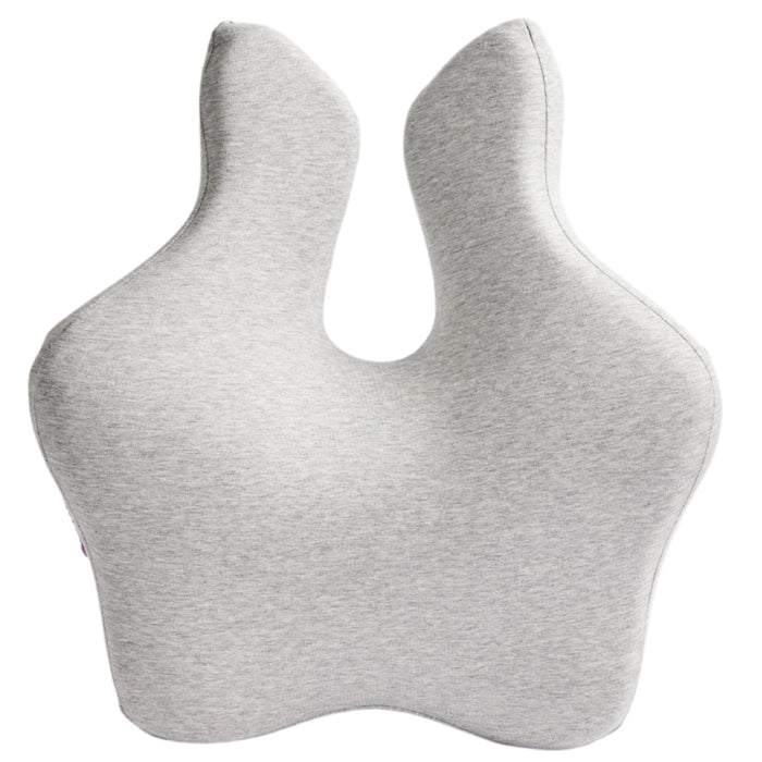 iCare Reform Full Back Support