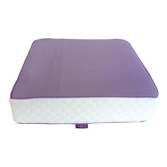 iCare Seat Cushion