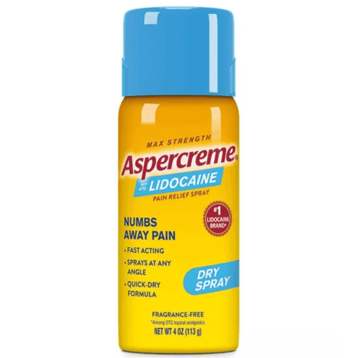 Aspercreme Pain Relief Dry Spray