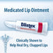 Blistex Medicated Lip Ointment for Dryness and Cold Sores - Elvoros