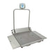 Health o Meter Digital Wheelchair Ramp Scale with Large Platform