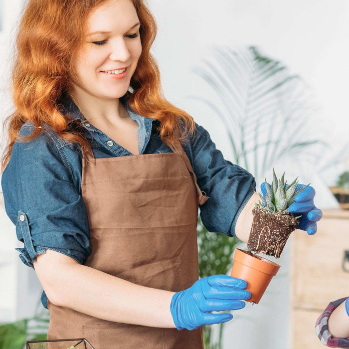 FifthPulse Medical Exam Blue Nitrile Gloves - 10 Boxes of 100 Ct - Elvoros