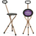 Folding Cane with Seat shophomemed