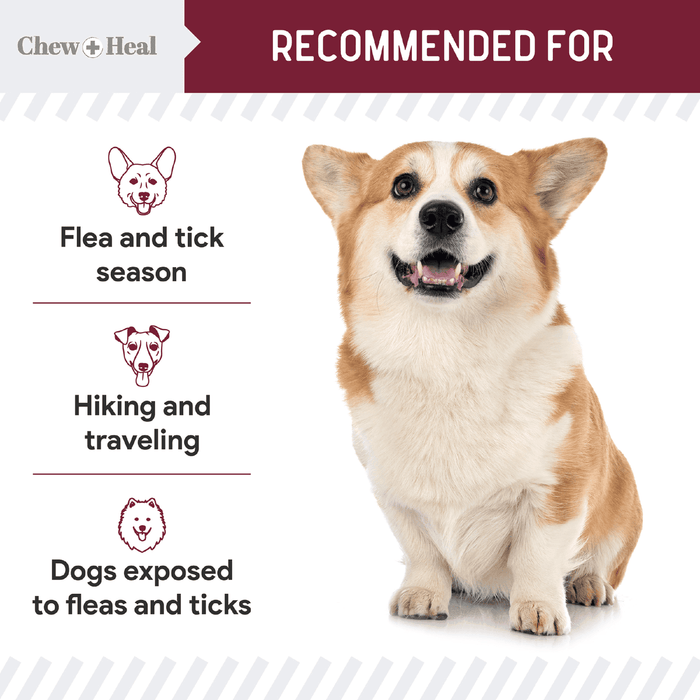 Chew + Heal Chewable Flea and Tick Prevention for Dogs - 180 Delicious Soft Chews - Elvoros