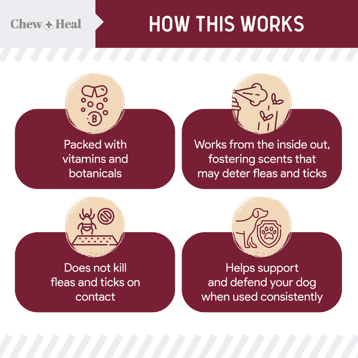 Chew + Heal Chewable Flea and Tick Prevention for Dogs - 180 Delicious Soft Chews - Elvoros