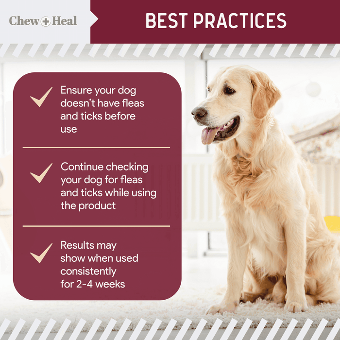 Chew + Heal Chewable Flea and Tick Prevention for Dogs - 180 Delicious Soft Chews - Elvoros