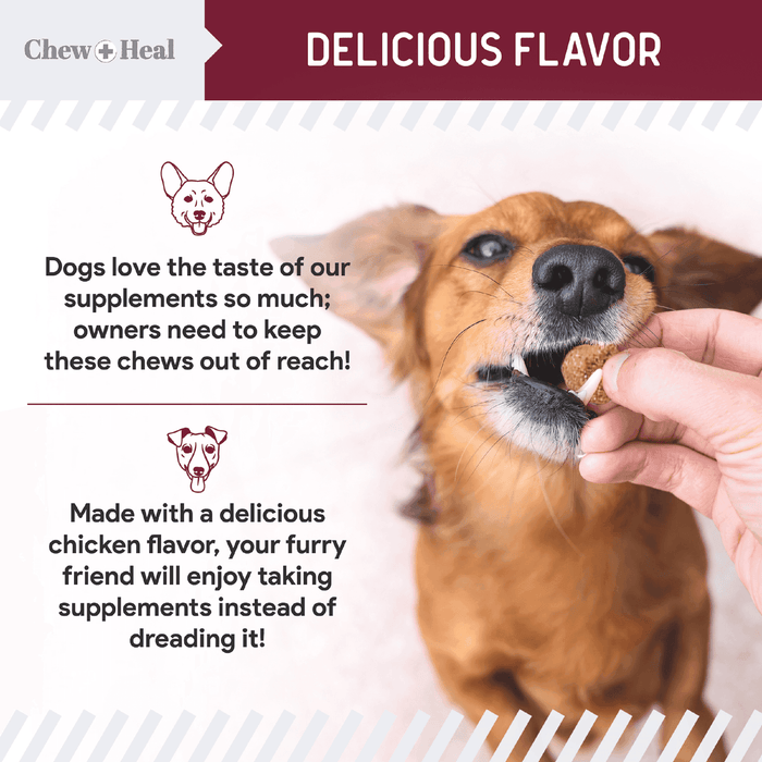 Chew + Heal Chewable Flea and Tick Prevention for Dogs - 180 Delicious Soft Chews - Elvoros