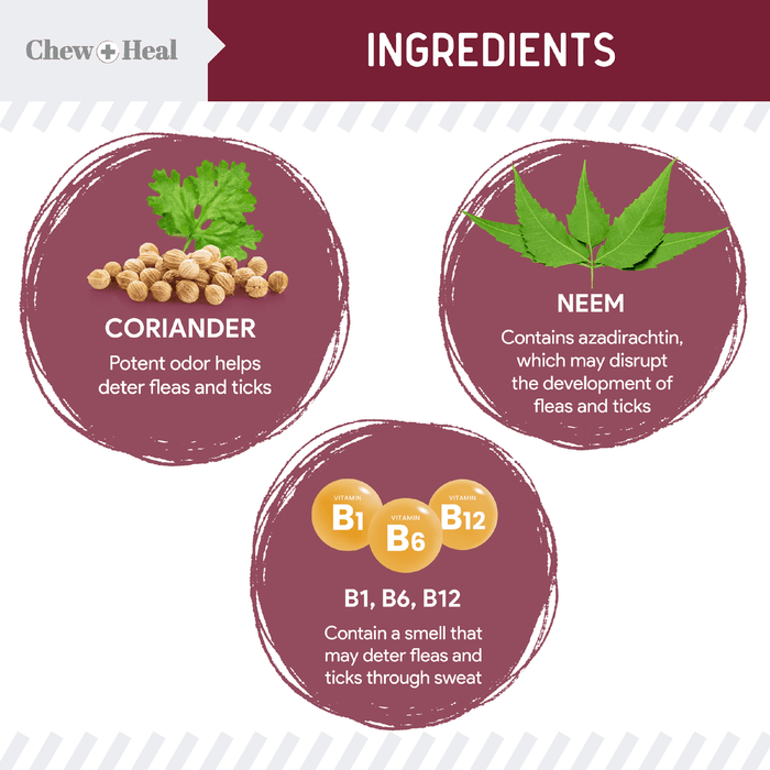 Chew + Heal Chewable Flea and Tick Prevention for Dogs - 180 Delicious Soft Chews - Elvoros