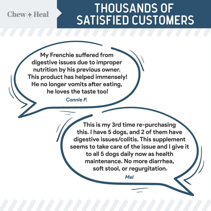 Chew + Heal Digestive Enzymes Bites With Probiotics - Elvoros