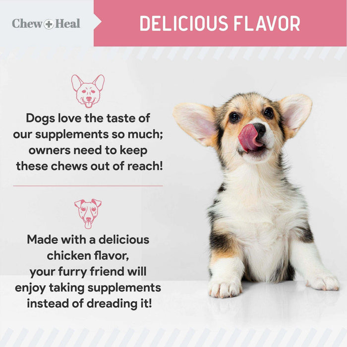 Chew + Heal Dogs Allergy Chews Relief For Itchy Skin - Elvoros