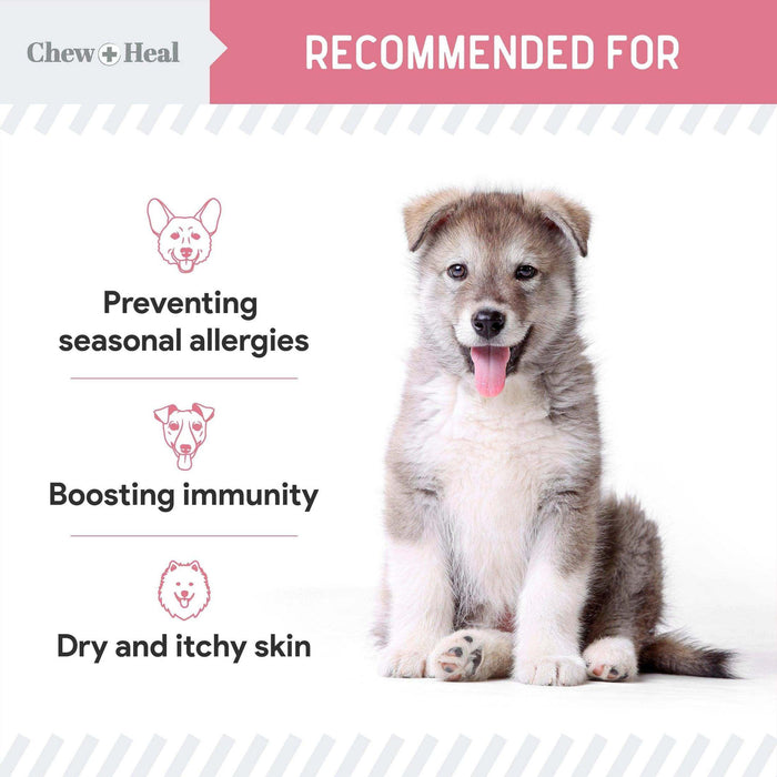 Chew + Heal Dogs Allergy Chews Relief For Itchy Skin - Elvoros