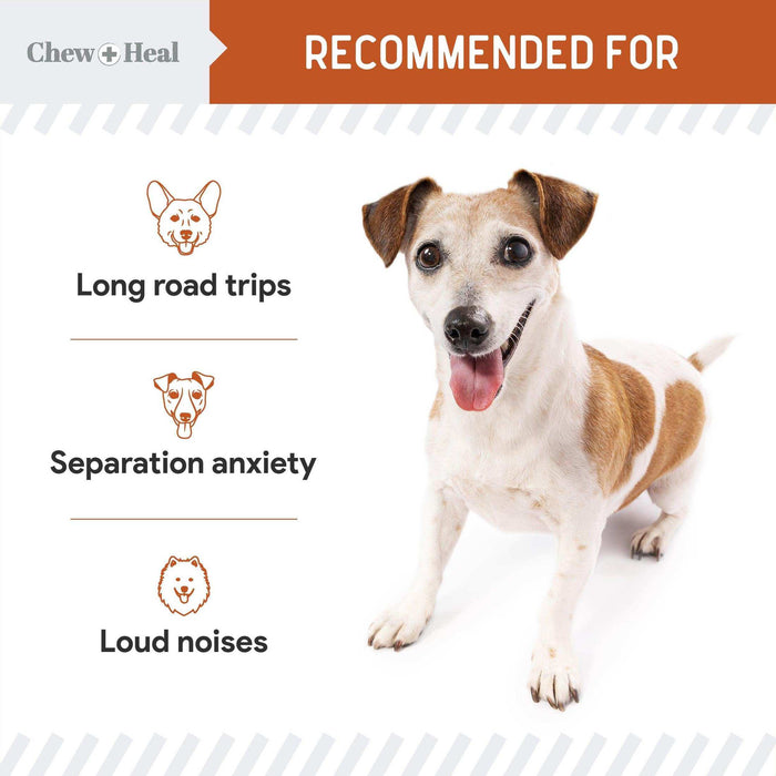 Chew + Heal Dogs Anxiety & Stress Calming Soft Chews - Elvoros
