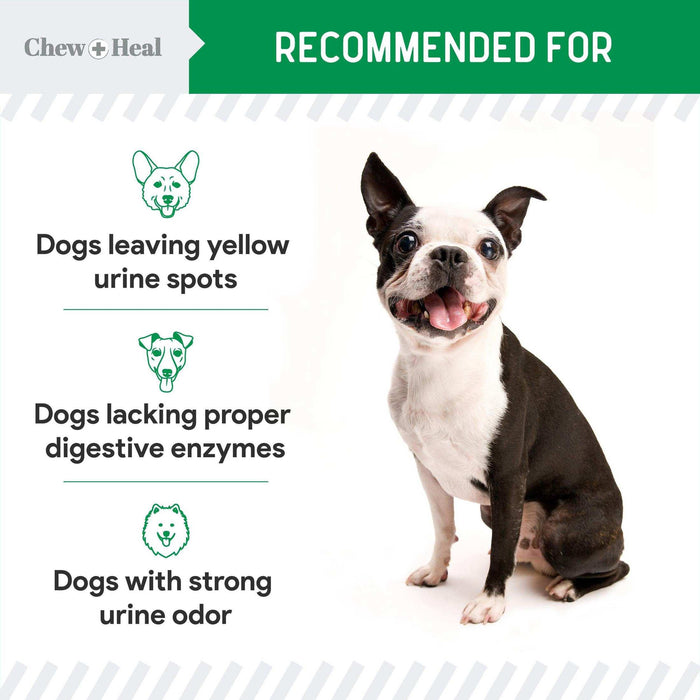 Chew + Heal Grass Saver Chews For Dogs - Elvoros