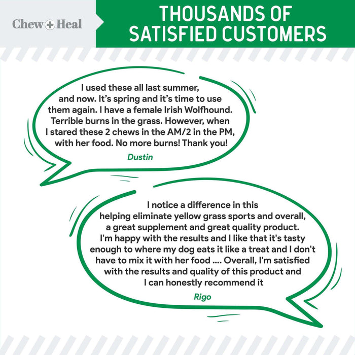 Chew + Heal Grass Saver Chews For Dogs - Elvoros