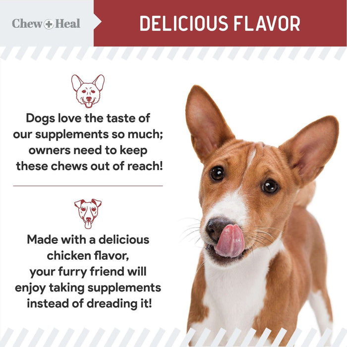 Chew + Heal Joint Supplements For Dogs and Cats - Elvoros