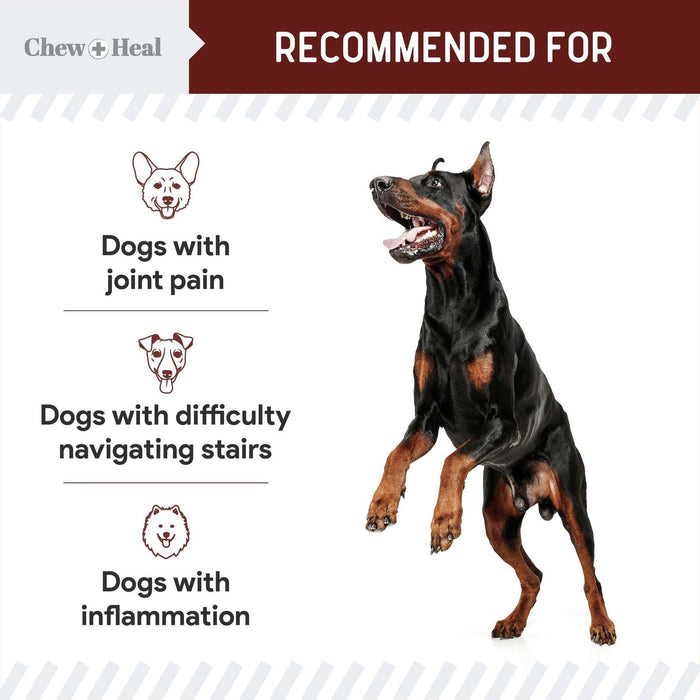 Chew + Heal Joint Supplements For Dogs and Cats - Elvoros