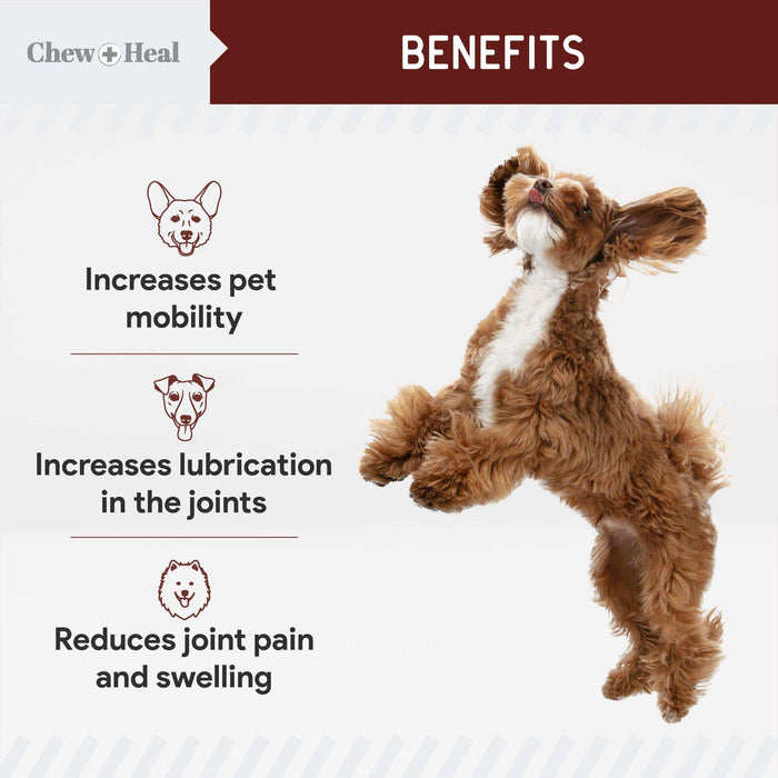Chew + Heal Joint Supplements For Dogs and Cats - Elvoros