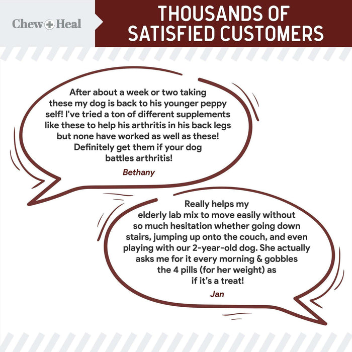 Chew + Heal Joint Supplements For Dogs and Cats - Elvoros