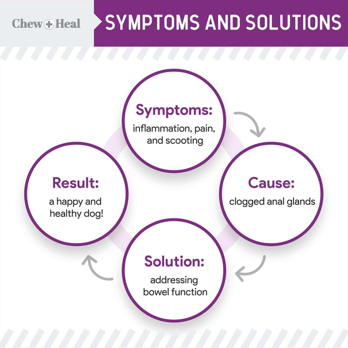 Chew + Heal No Scoot for Dogs - for Healthy Anal Gland Function - Elvoros