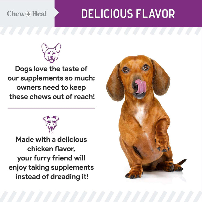 Chew + Heal No Scoot for Dogs - for Healthy Anal Gland Function - Elvoros
