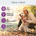 Chew + Heal No Scoot for Dogs - for Healthy Anal Gland Function - Elvoros