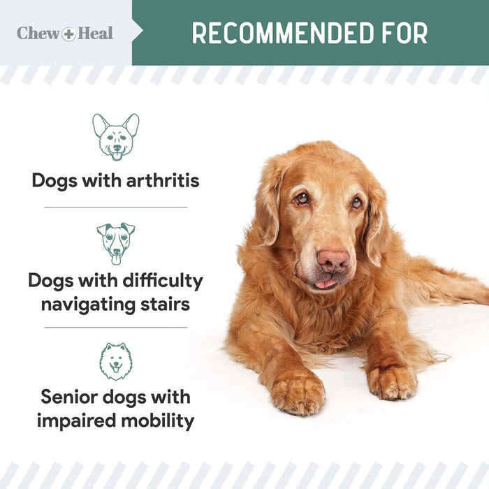 Chew + Heal Senior Hip And Joint Supplement For Dogs - Elvoros