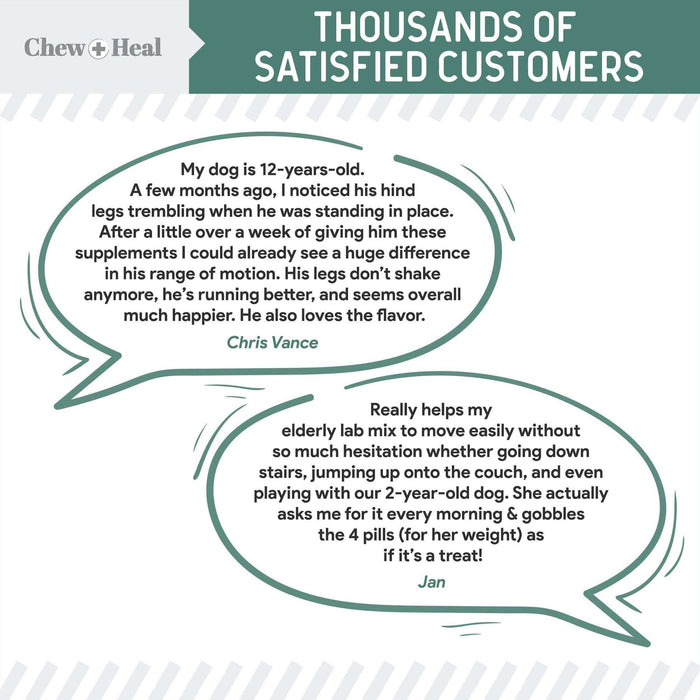 Chew + Heal Senior Hip And Joint Supplement For Dogs - Elvoros