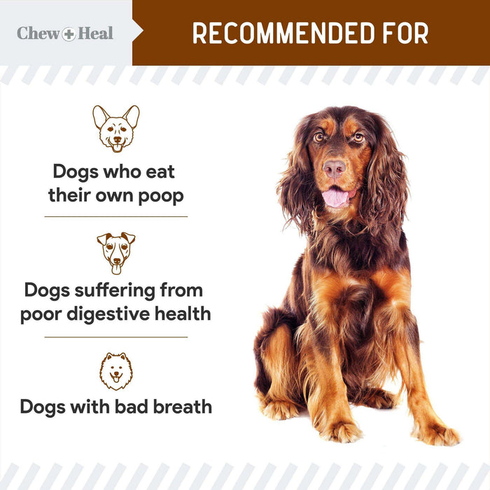 Chew + Heal Stop The Poo Chew - Elvoros