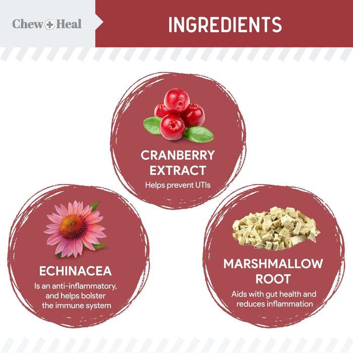 Chew + Heal UTI Treatment Cranberry Chews for Dogs - Elvoros