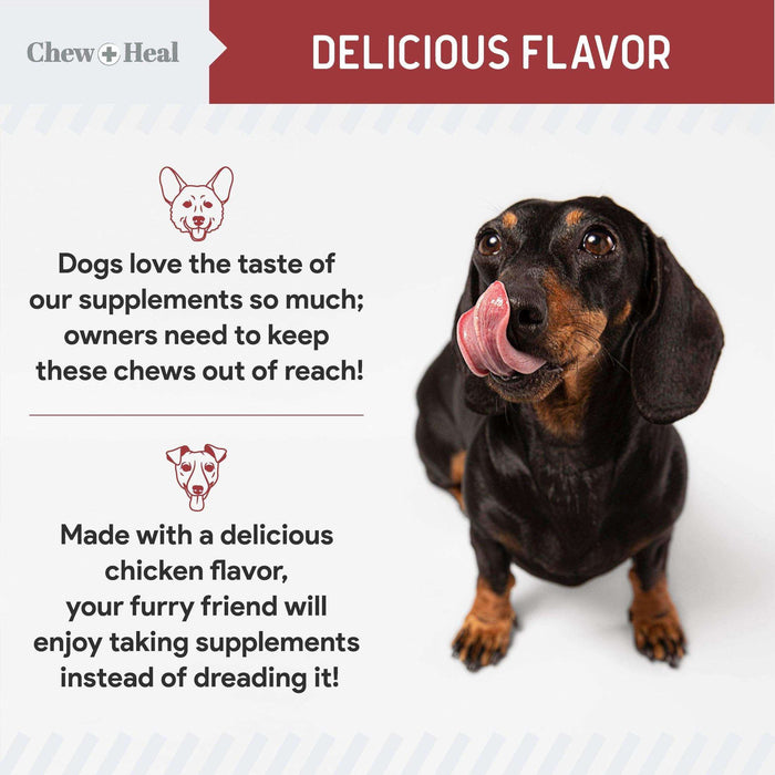 Chew + Heal UTI Treatment Cranberry Chews for Dogs - Elvoros