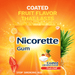 Nicorette 4mg Stop Smoking Aid Gum Fruit Chill - 20Ct