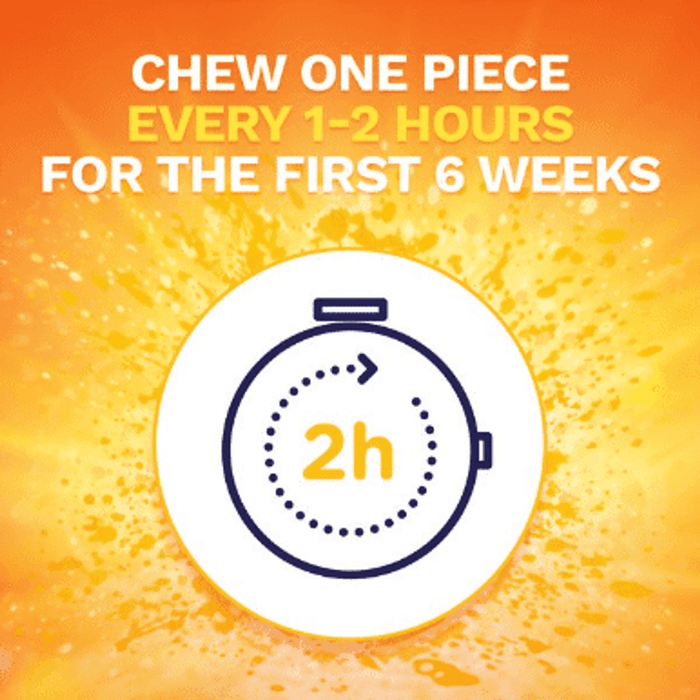 Nicorette 4mg Stop Smoking Aid Gum Fruit Chill - 20Ct