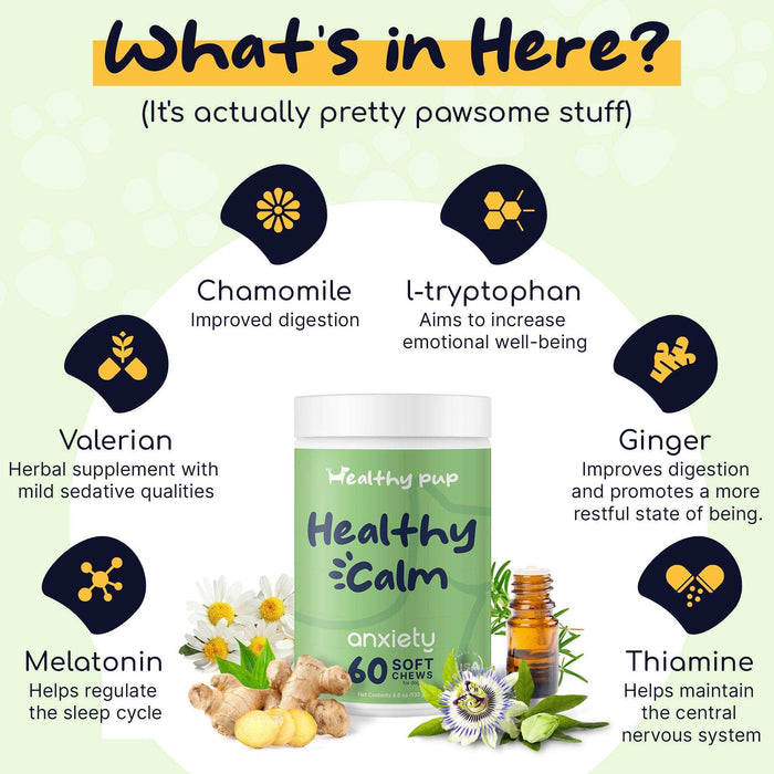 Healthy Pup Healthy Calm Anxiety Supplement for Dogs - Elvoros