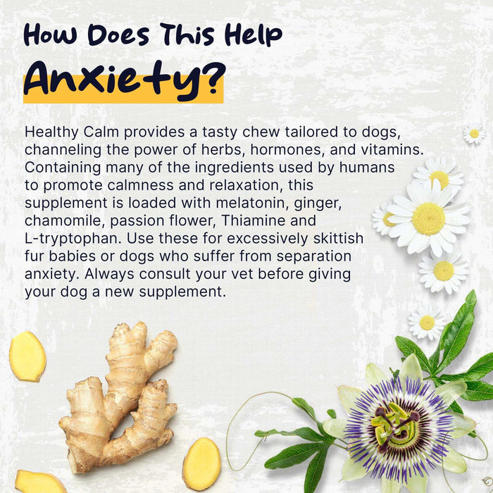 Healthy Pup Healthy Calm Anxiety Supplement for Dogs - Elvoros