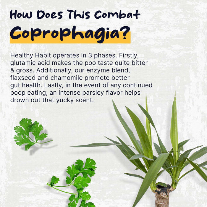 Healthy Pup Healthy Habit Coprophagia Supplement for Dogs - Elvoros