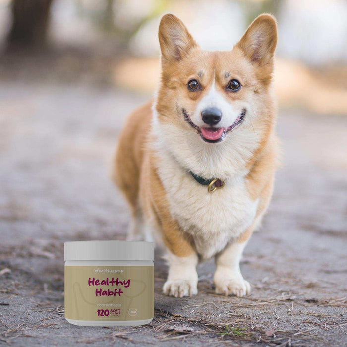 Healthy Pup Healthy Habit Coprophagia Supplement for Dogs - Elvoros