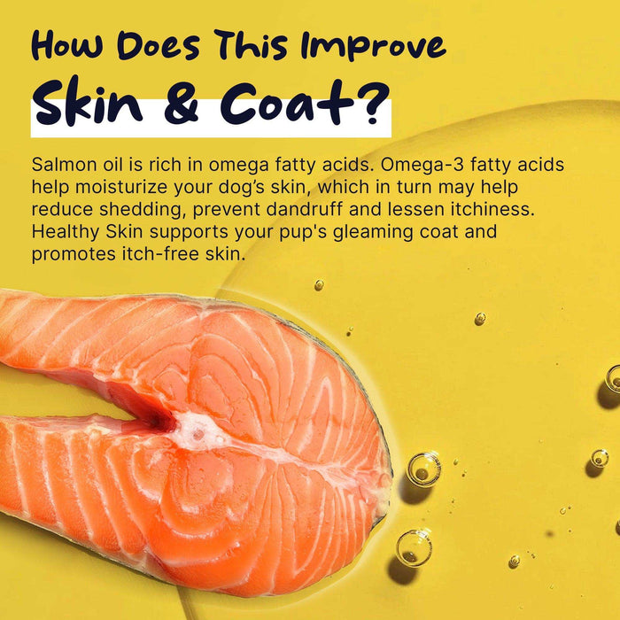 Healthy Pup Healthy Skin Omega Supplement for Dogs - Elvoros