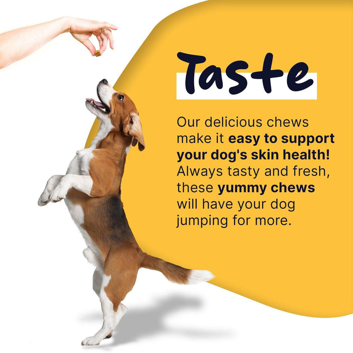 Healthy Pup Healthy Skin Omega Supplement for Dogs - Elvoros