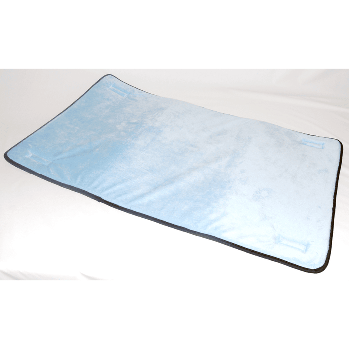 Absorbent Pad for Bed Support System